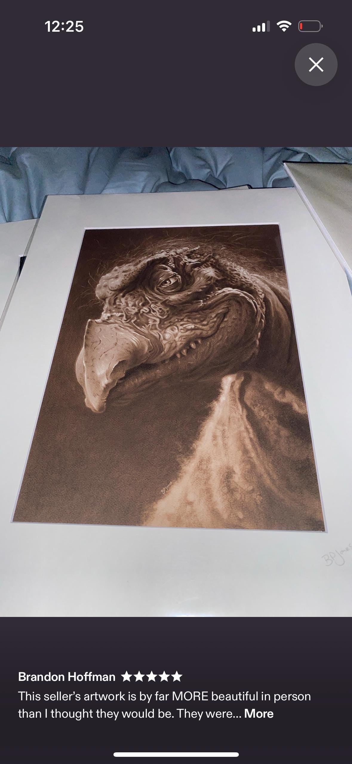 Limited print taken from my original pastel drawing of chamberlain from the dark crystal