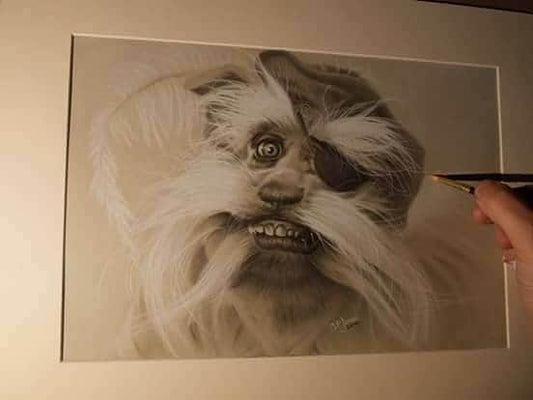 Labyrinth Sir Diddymus