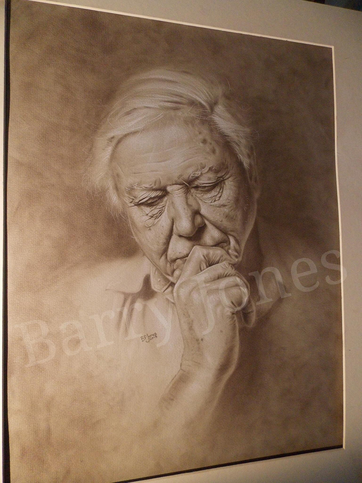 Limited print taken from my original pastel drawing