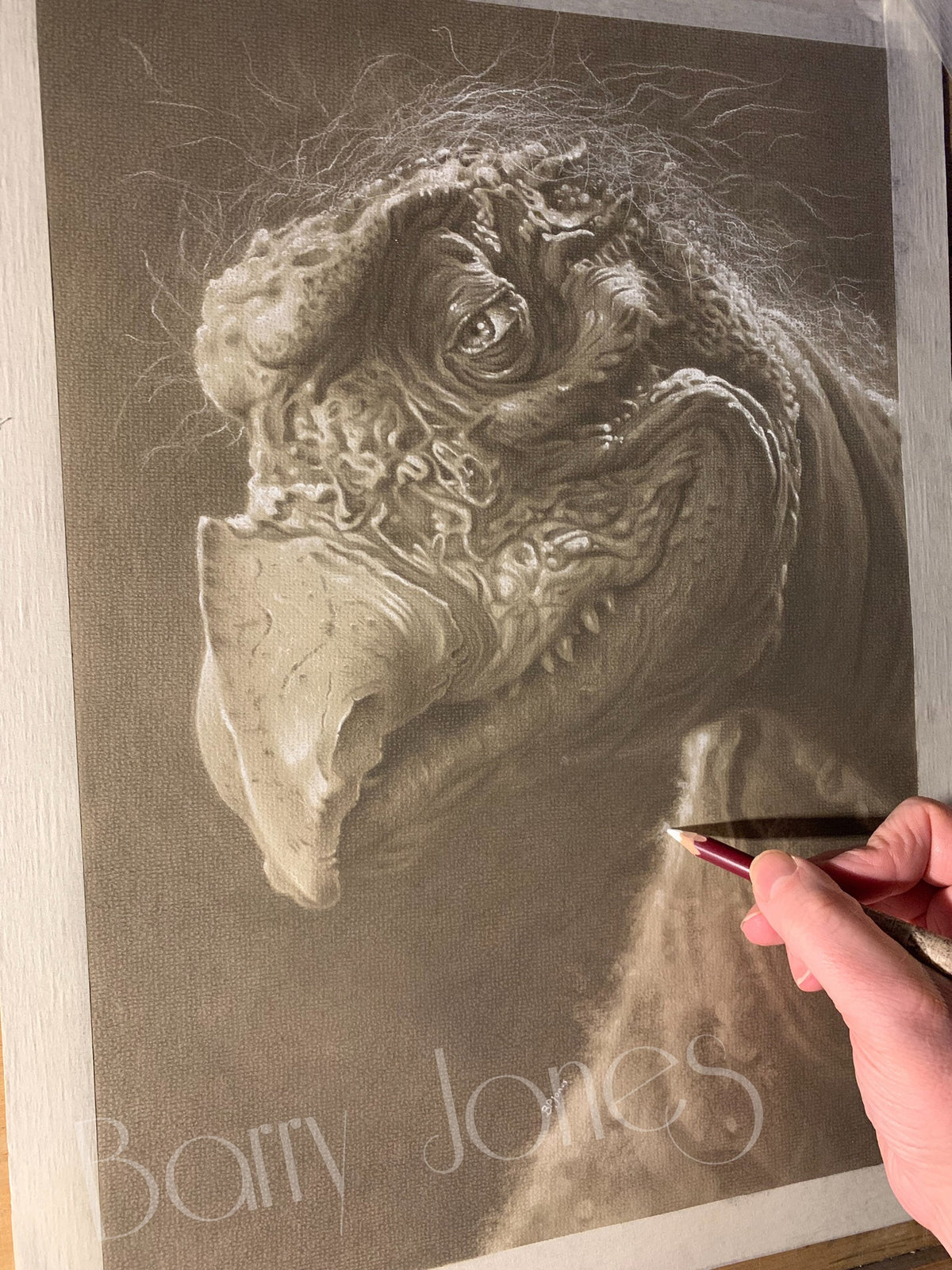 Limited print taken from my original pastel drawing of chamberlain from the dark crystal
