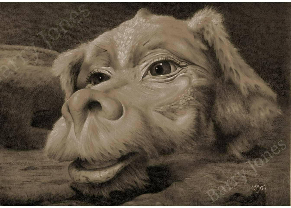 Neverending story falkor limited print