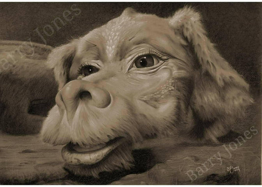 Neverending Story Falkor